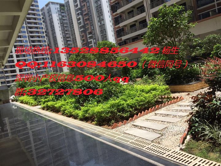 【龙华新区新楼盘 龙华军产房 龙华小产权房】